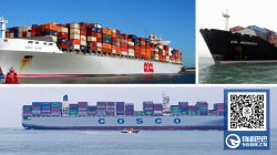 COSCO、OOCL及ANL携手组成新亚澳联盟