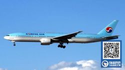 大韩航空11年来首次罢工  活动为期10天