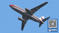 东方航空5月15日起将实施鱼翅禁运政策